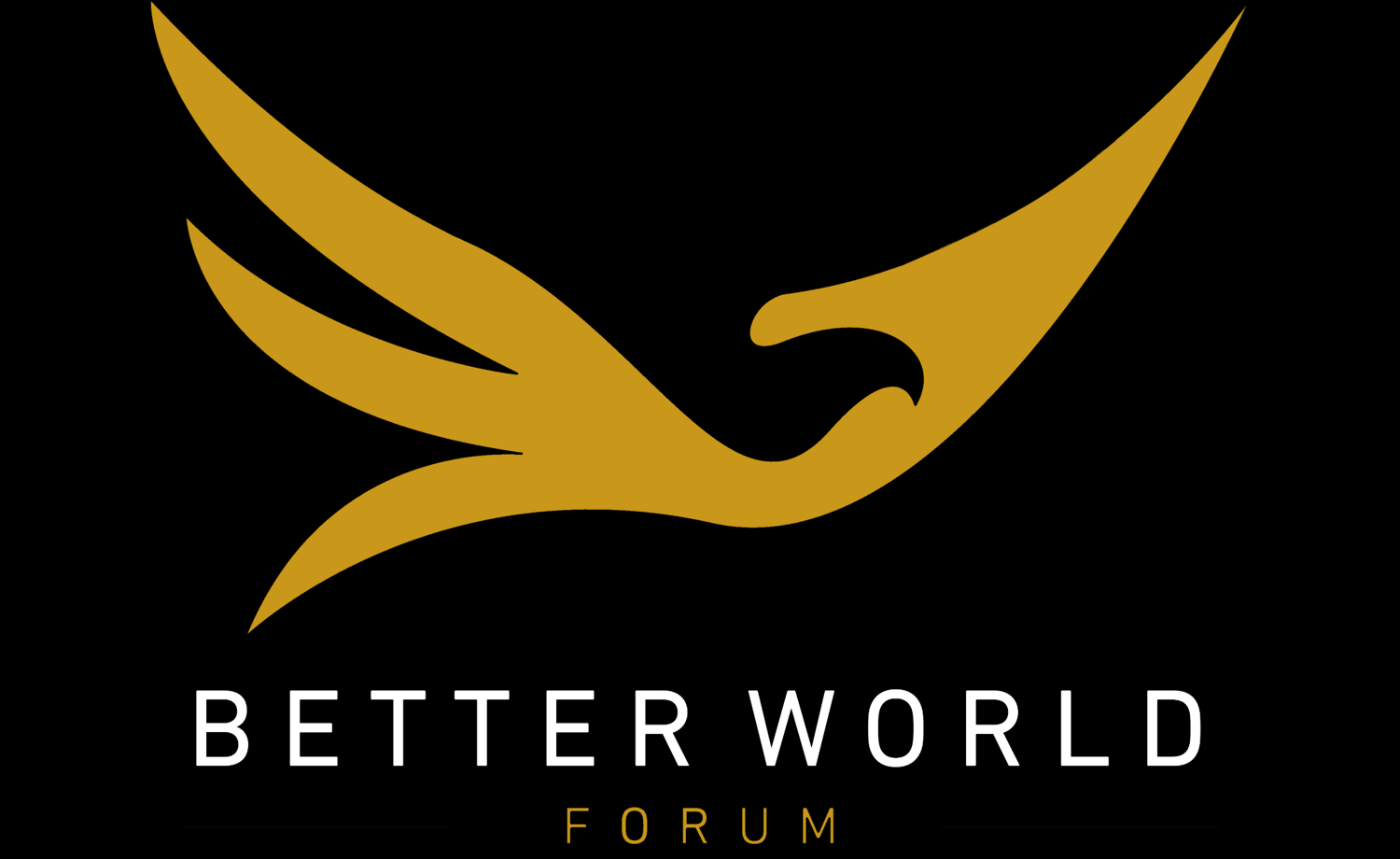 Better world forum and Visoansla